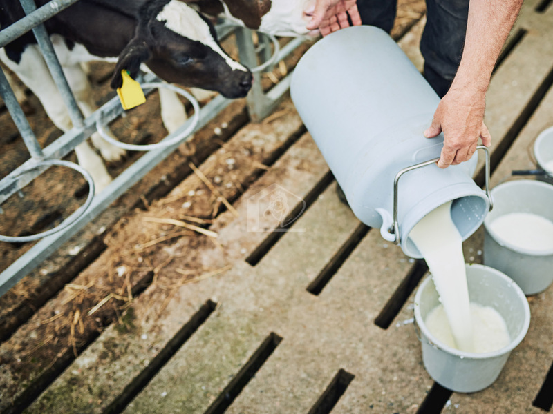 Azienda agricola in vendita a Brescia campagna