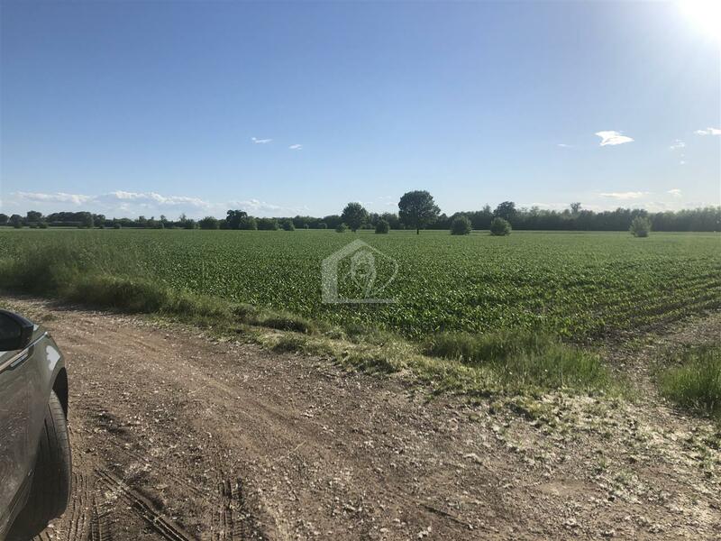 Azienda agricola in vendita a Cremona campagna