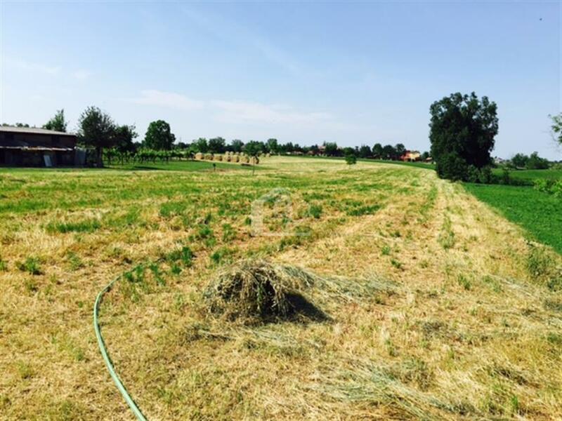 Azienda agricola in vendita a Fidenza pianura