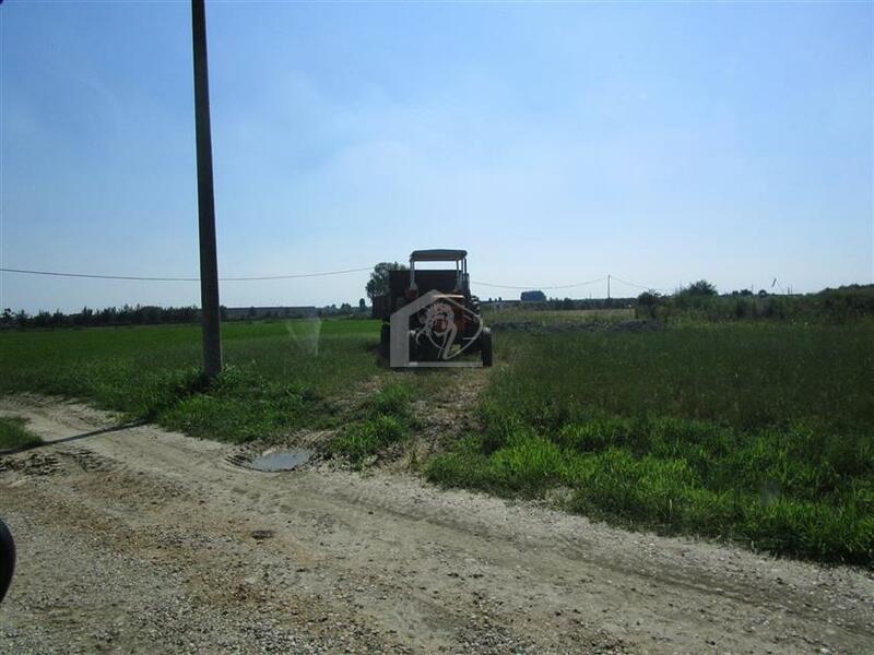 Azienda agricola in vendita a Fidenza