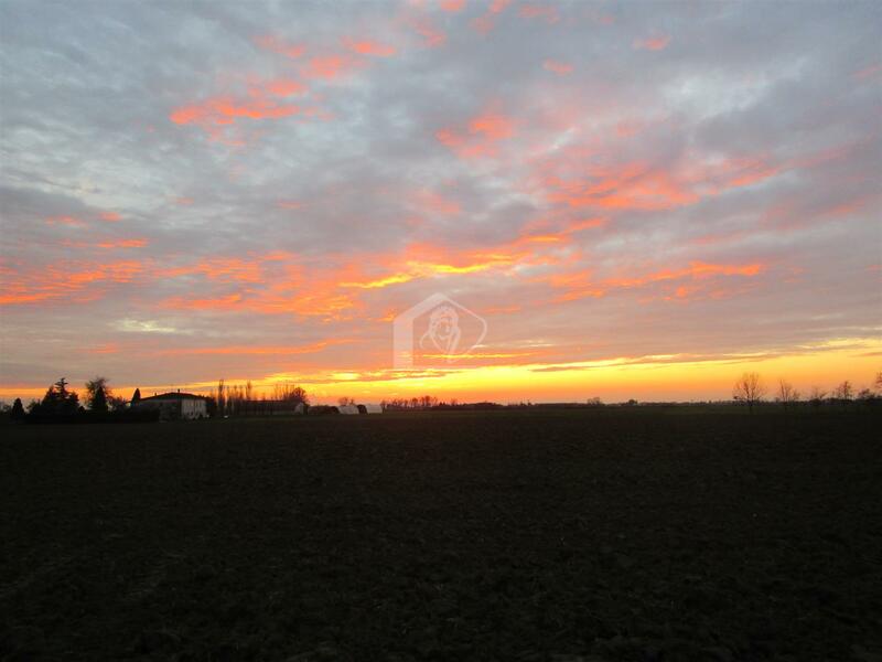 Azienda agricola in vendita a Fidenza fidenza