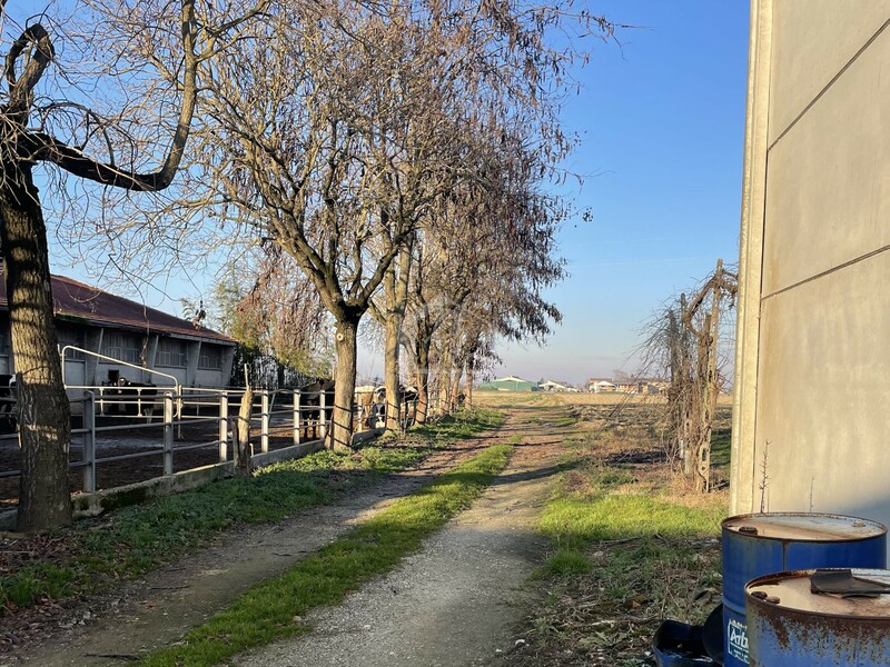 Azienda agricola in vendita a Luzzara frazione