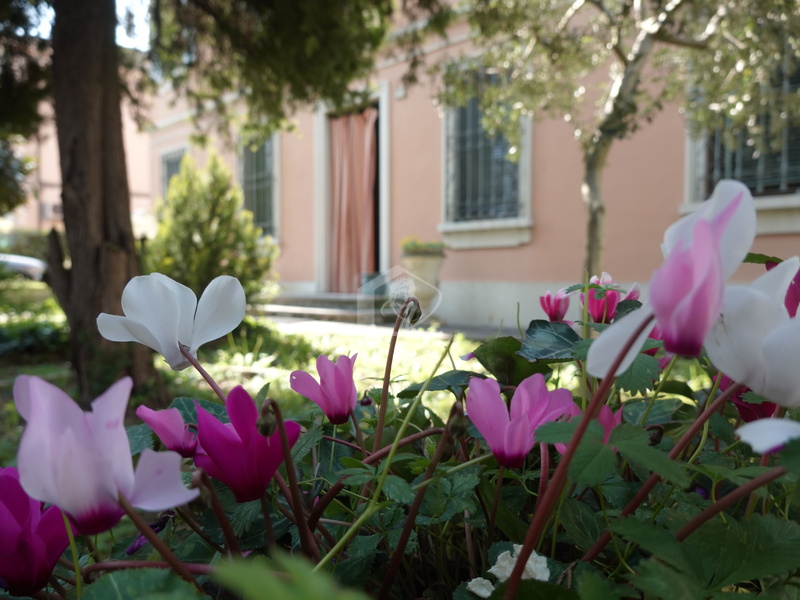 Casa indipendente in vendita a Suzzara centro