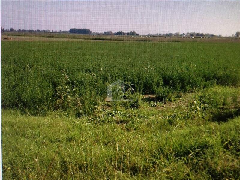 Terreno agricolo in vendita a Borgo Virgilio