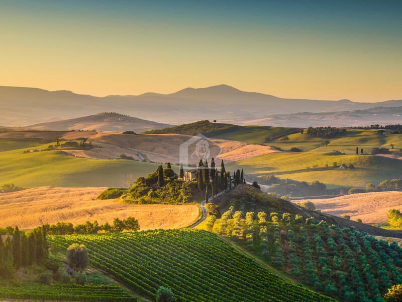 Terreno agricolo in vendita a Casalromano