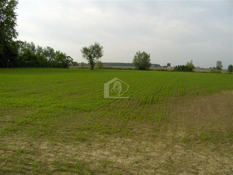 Terreno agricolo in vendita a Castel d'Ario