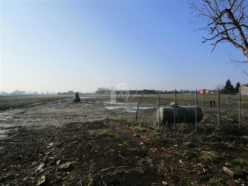 Terreno agricolo in vendita a Gonzaga Bondeno