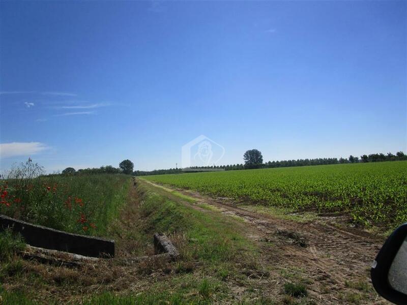 Terreno agricolo in vendita a Guastalla