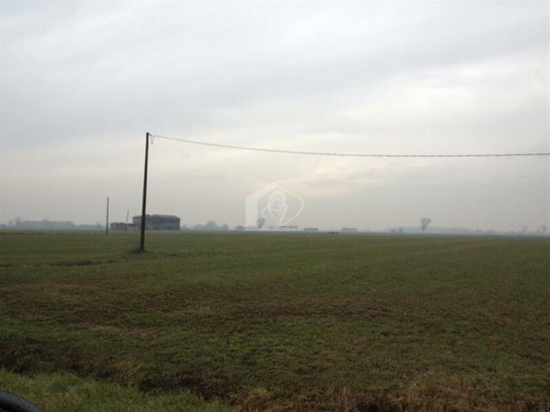 Terreno agricolo in vendita a Luzzara Villarotta