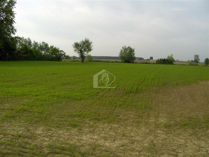 Terreno agricolo in vendita a Luzzara