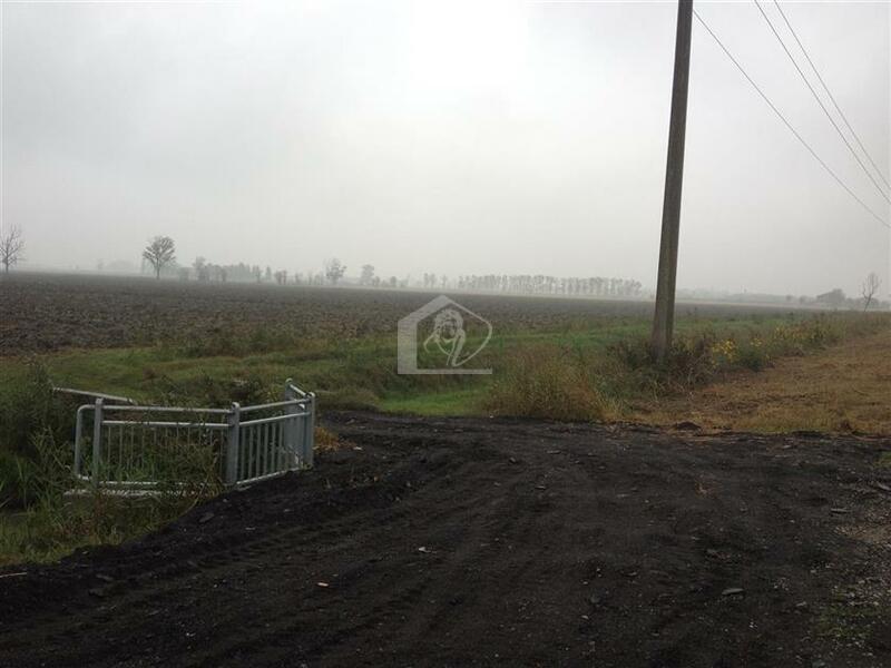 Terreno agricolo in vendita a Novellara campagna