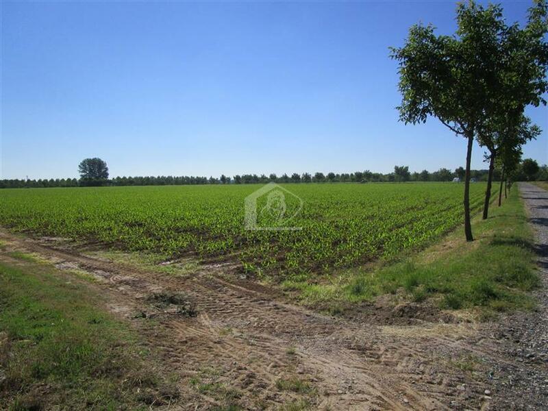 Terreno agricolo in vendita a Pegognaga