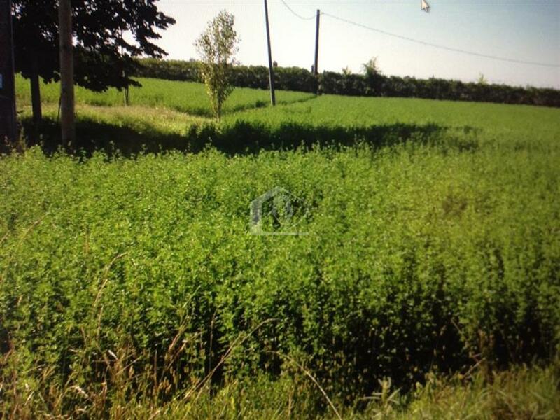 Terreno agricolo in vendita a Pieve di Coriano