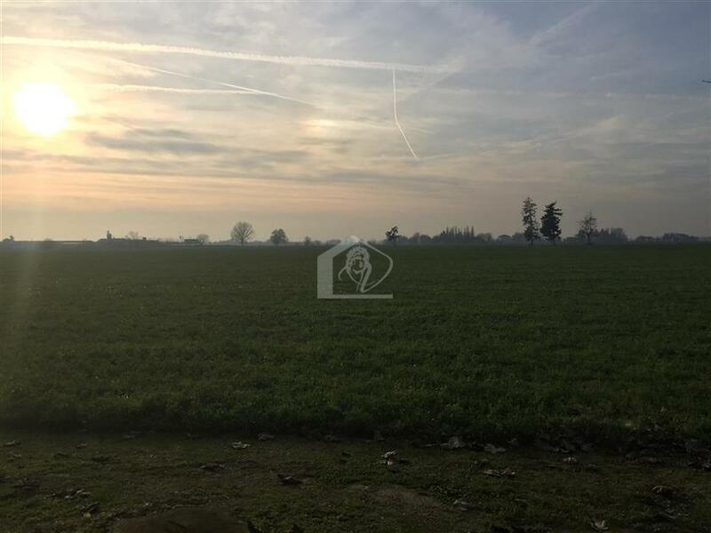 Terreno agricolo in vendita a Suzzara Palidano