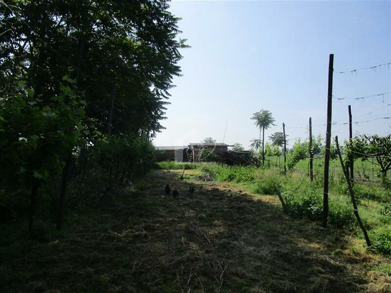 Terreno agricolo in vendita a Suzzara campagna