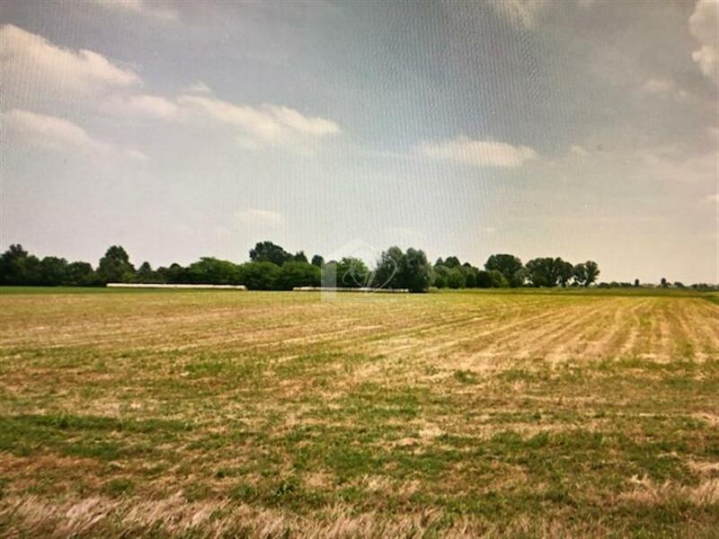 Terreno agricolo in vendita a Suzzara vicinanze strada