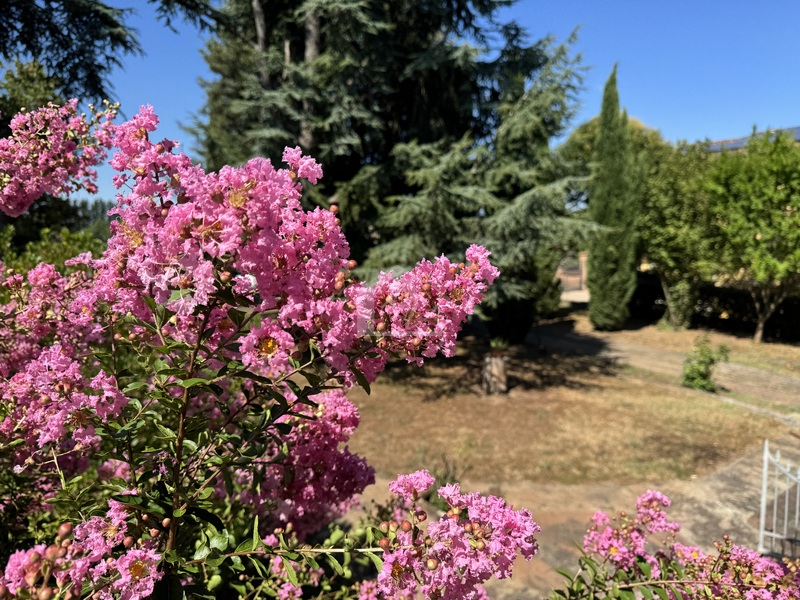 Villa in vendita a Suzzara Cantelma